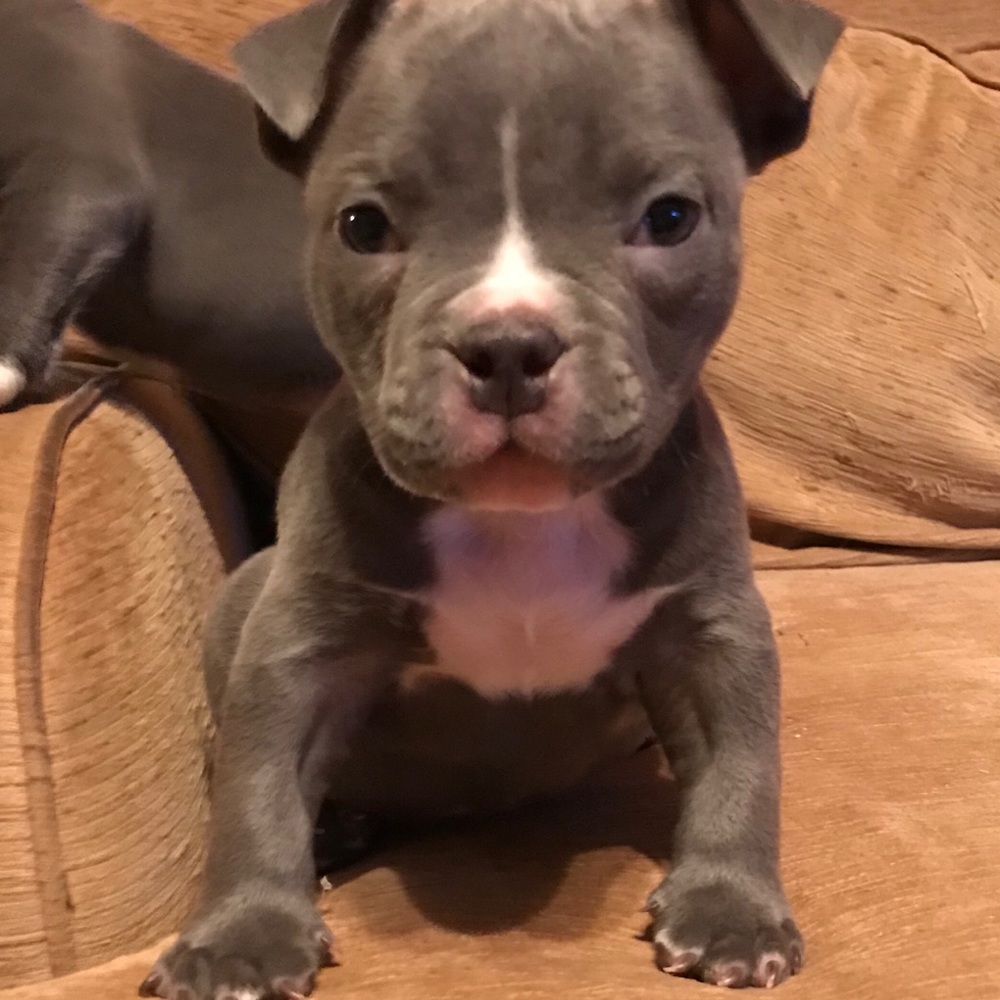 Meet your Posher, Lindsey